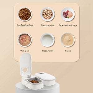 ⏰ Automatic Pet Feeder – Smart Food Dispenser for Cats & Dogs 🐾