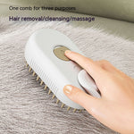 3-in-1 Cat Steam Brush – Electric Groomer & Massager